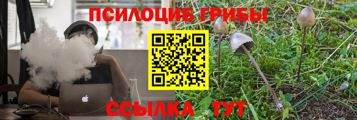 Галлюциногенные грибы Cubensis  Вход с VPN  Брянск 