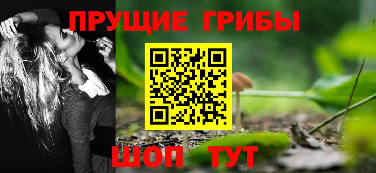 Псилоцибиновые грибы MAGIC MUSHROOMS Брянск