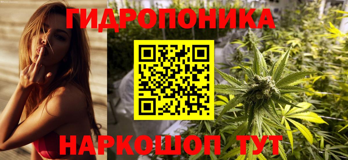 Канабис AK-47  Бошки Шишки ГИДРОПОН  Брянск  Вход с VPN  Шишки марихуана AK-47 